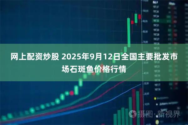 网上配资炒股 2025年9月12日全国主要批发市场石斑鱼价格行情